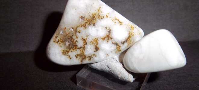 Кахолонг: молоко священных коров или уникальный дар природы