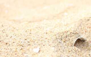 Какой песок нужен для бетона: выбор самого лучшего