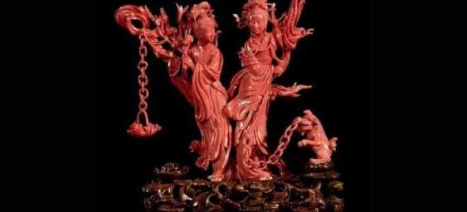 Как выглядит коралл и где его добывают: виды и основные свойства камня