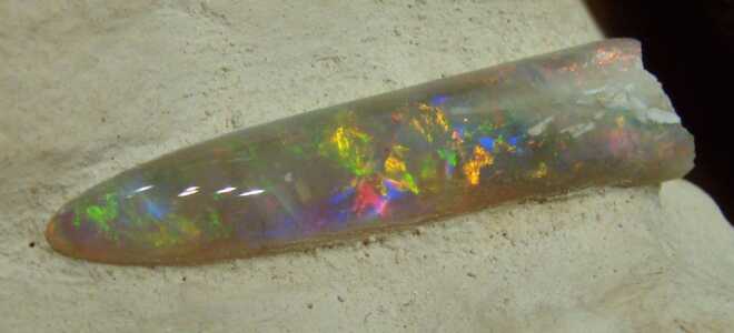 Камень белемнит или окаменелые жители морских глубин