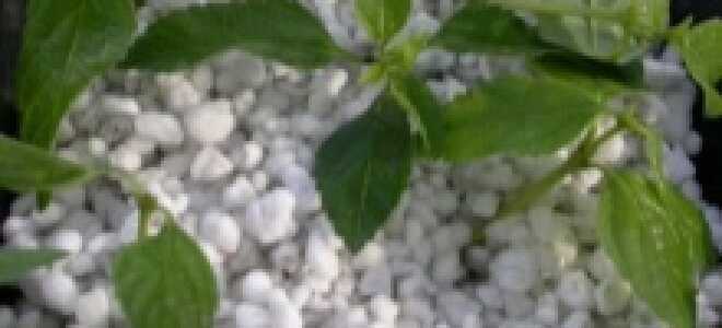 Характеристики и применение перлитового песка