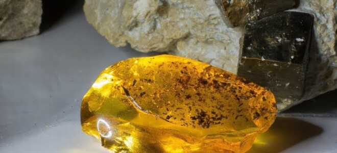 Как отличить янтарь от подделки?
